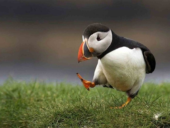 71T0U7G0POL._SL1500_