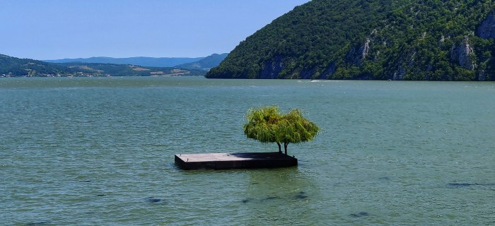 IMG_20200804_131658-01