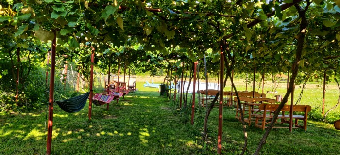 IMG_20200805_081005-01