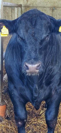 IMG_20200806_132619-02